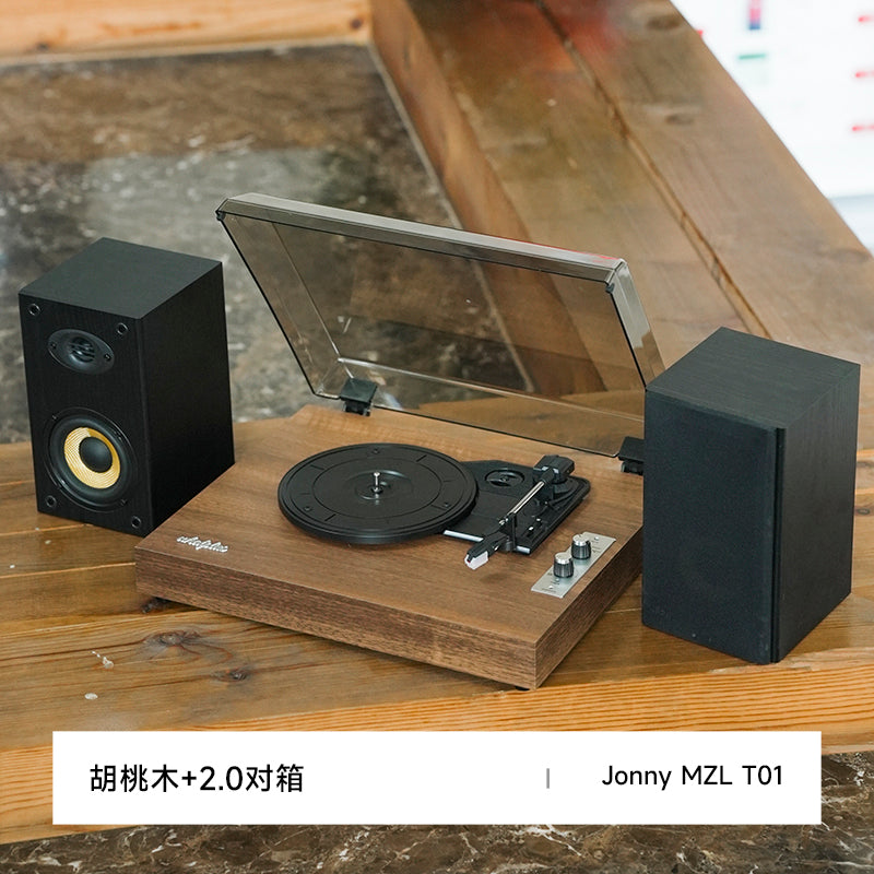 WhatPlus 1900 一体式黑胶唱机